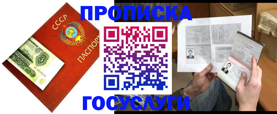 временная регистрация купить в Мурманской области